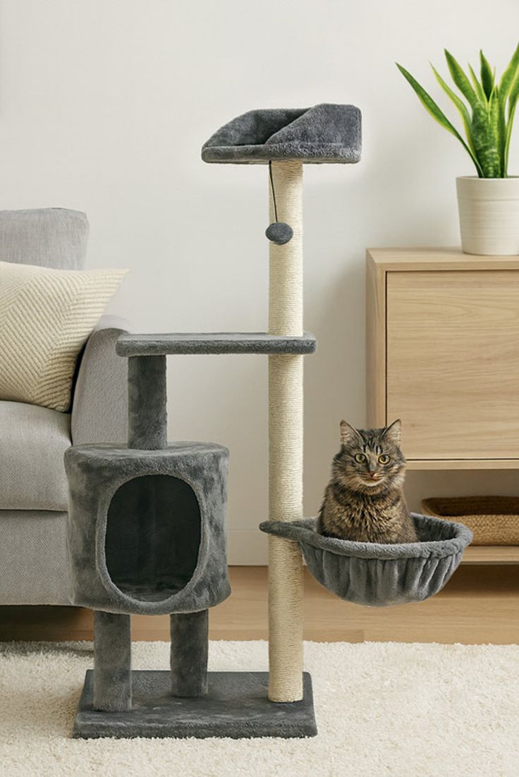 Petit arbre à chat