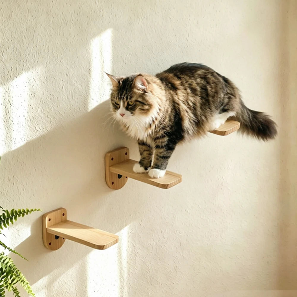 Arbre a chat mural 6