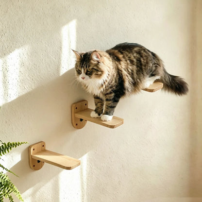 Arbre a chat mural 6